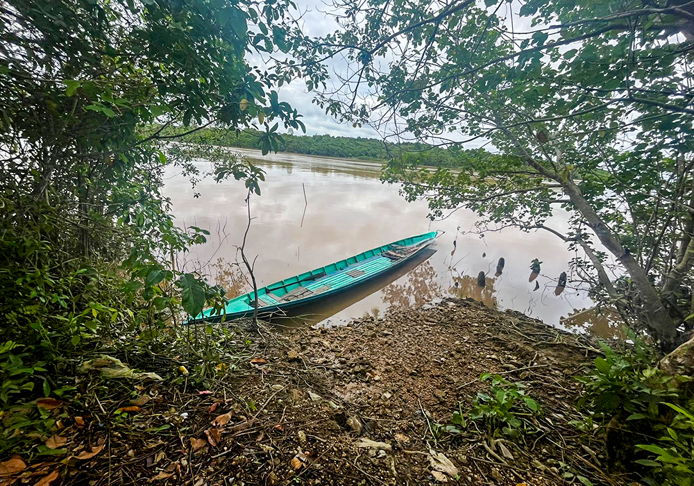 TANAH DI KAB. PULANG PISAU - WOFF874-2 - foto 3